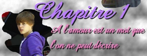 Premier chapitre