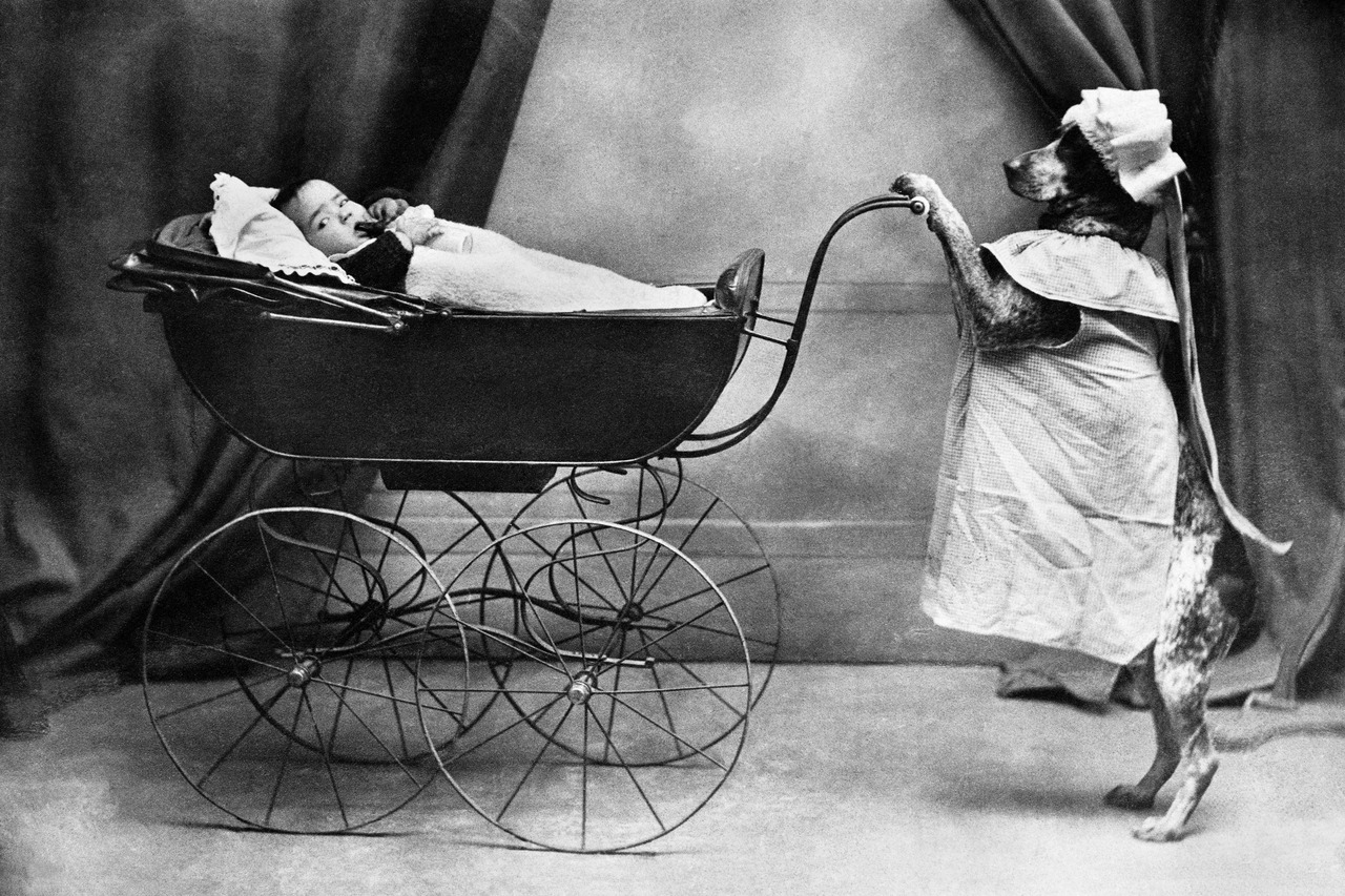 vintage-ancien-wtf-01