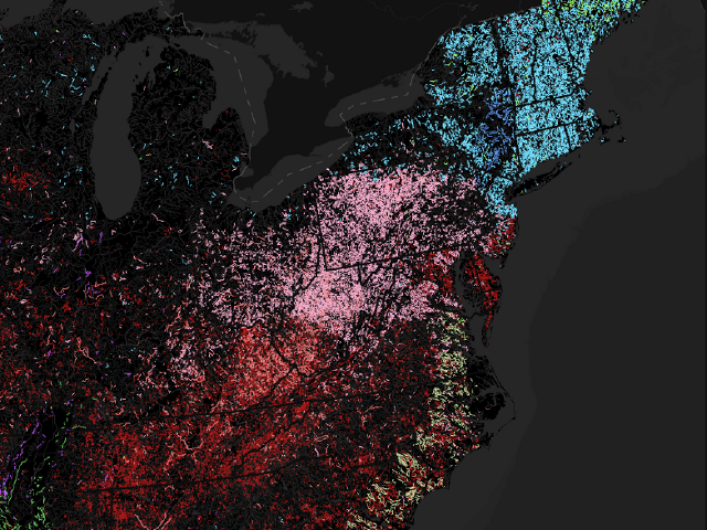 Generic Stream Terms